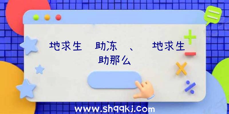 绝地求生辅助冻结、绝地求生